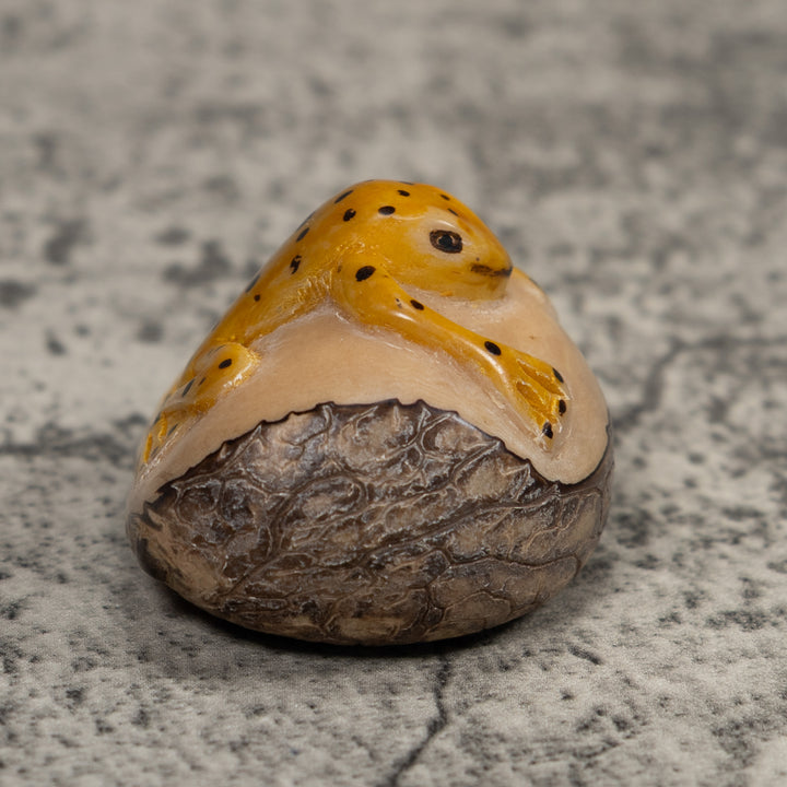 Vintage Black And Gold Frog Tagua Carving