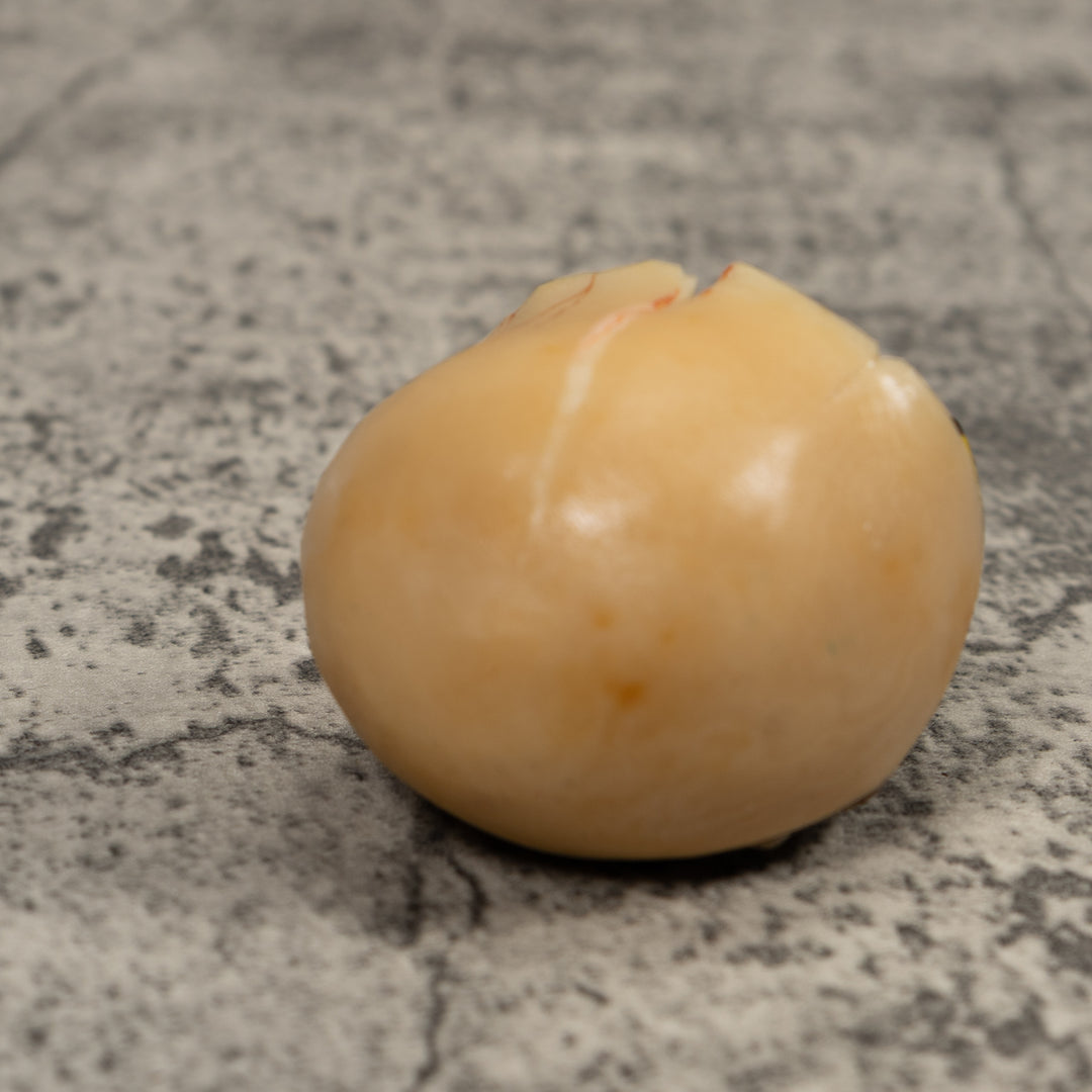 Tortise And Egg Tagua Carving