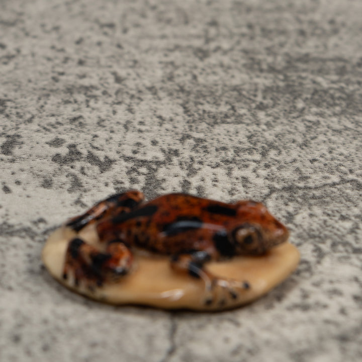Vintage Brown And Black Poison Dart Frog Tagua Carving