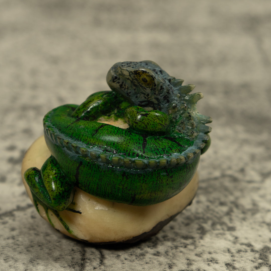 Iguana Lizard Reptile Tagua Carving