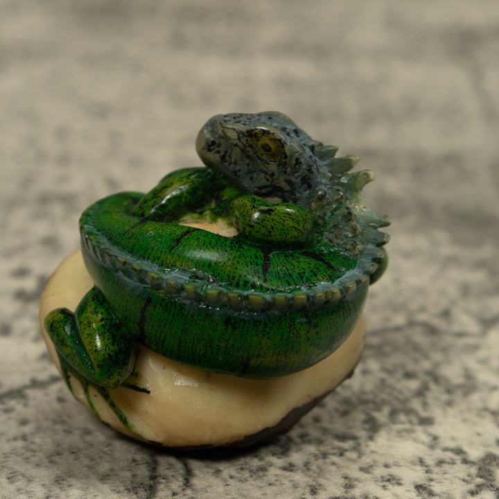 Iguana Lizard Reptile Tagua Carving