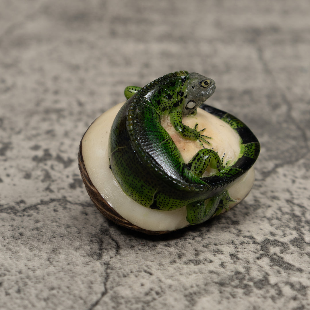 Iguana Lizard Reptile Tagua Carving
