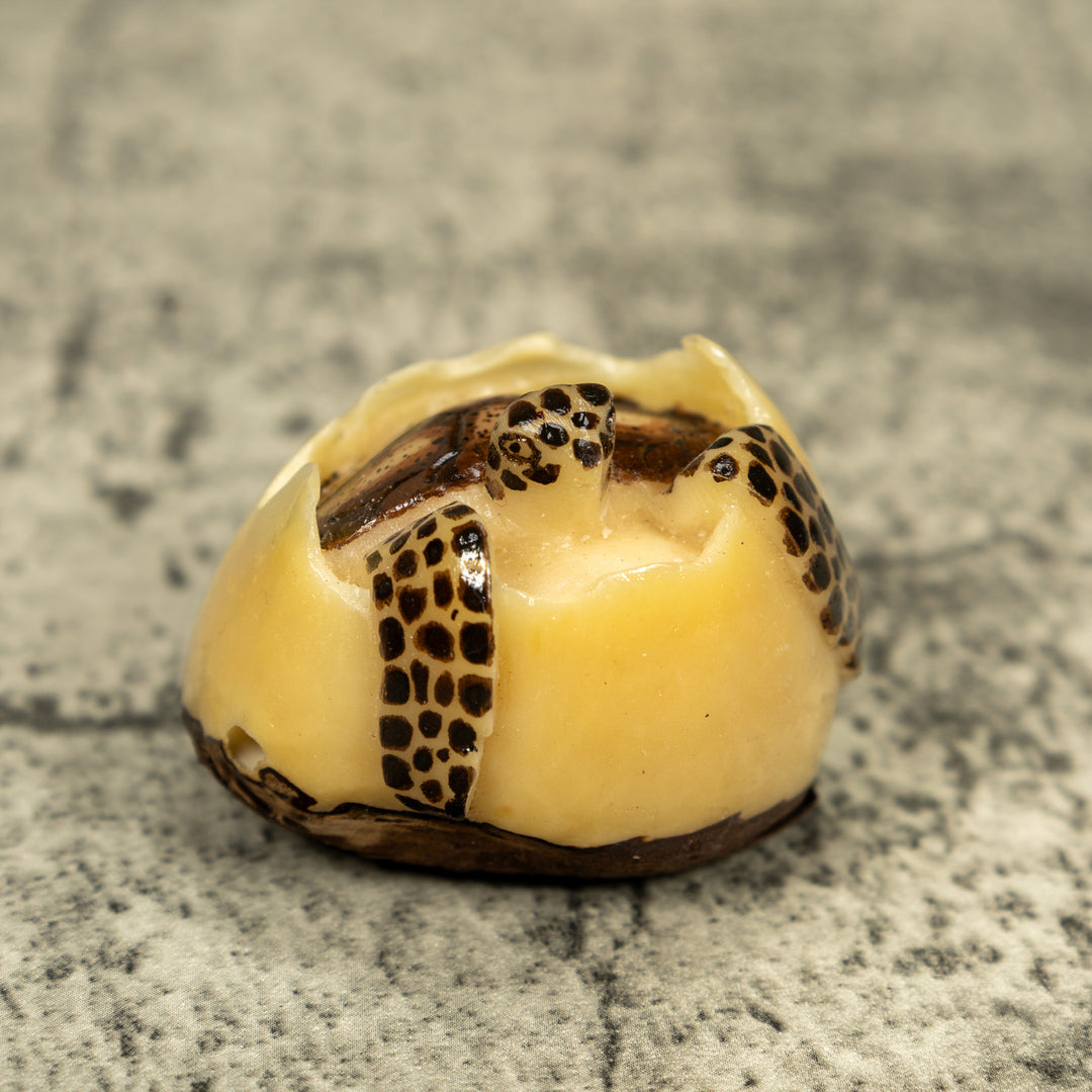 Black And Brown Sea Turtle Emerging From Egg Tagua Carving