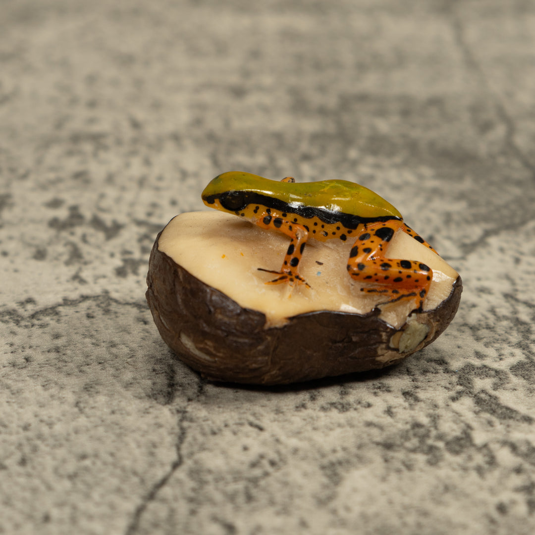 Gold Poison Dart Frog Tagua Carving