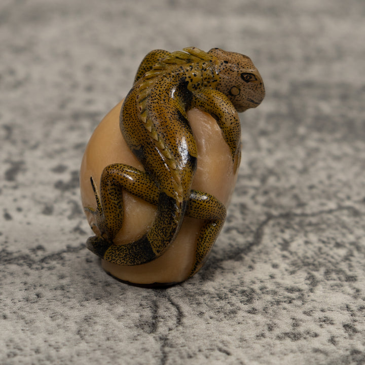 Iguana Lizard Reptile Tagua Carving