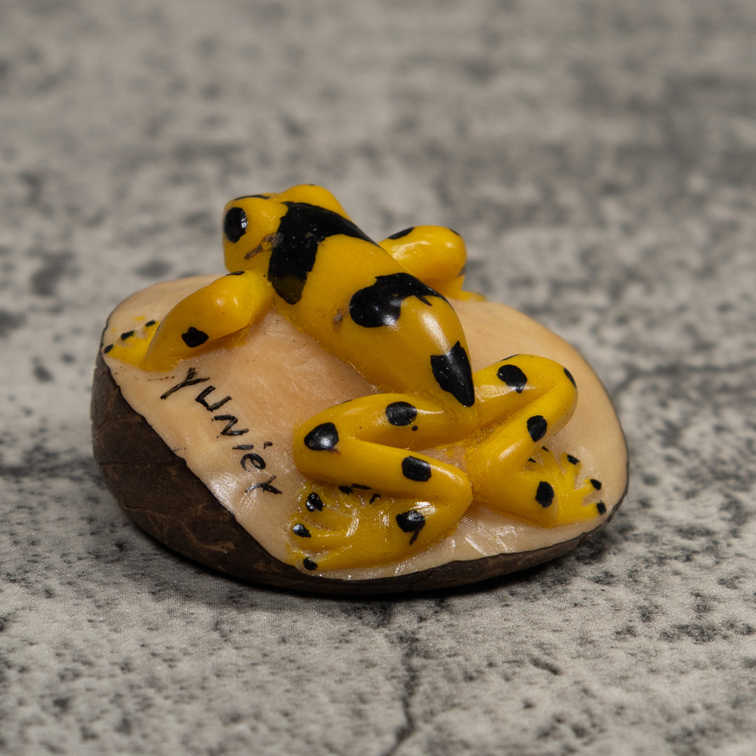 Golden Frog Tagua Carving