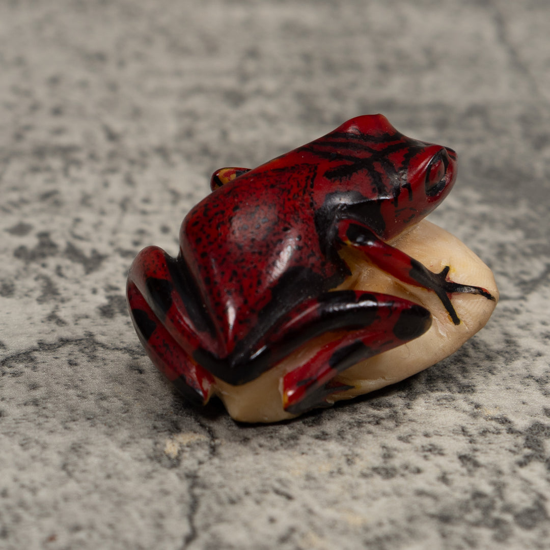 Vintage Red And Black Frog Tagua Carving