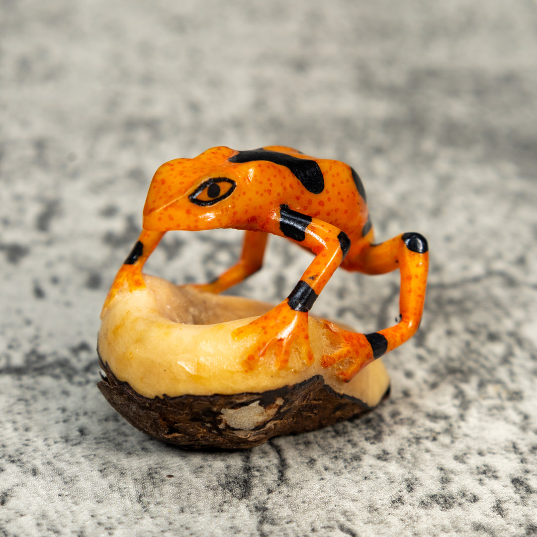 Fully Undercut Poison Dart Frog Tagua Carving