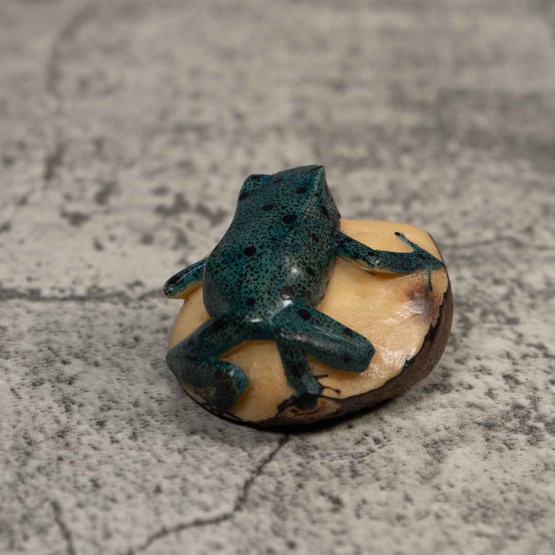 Vintage Blue And Black Frog Tagua Carving