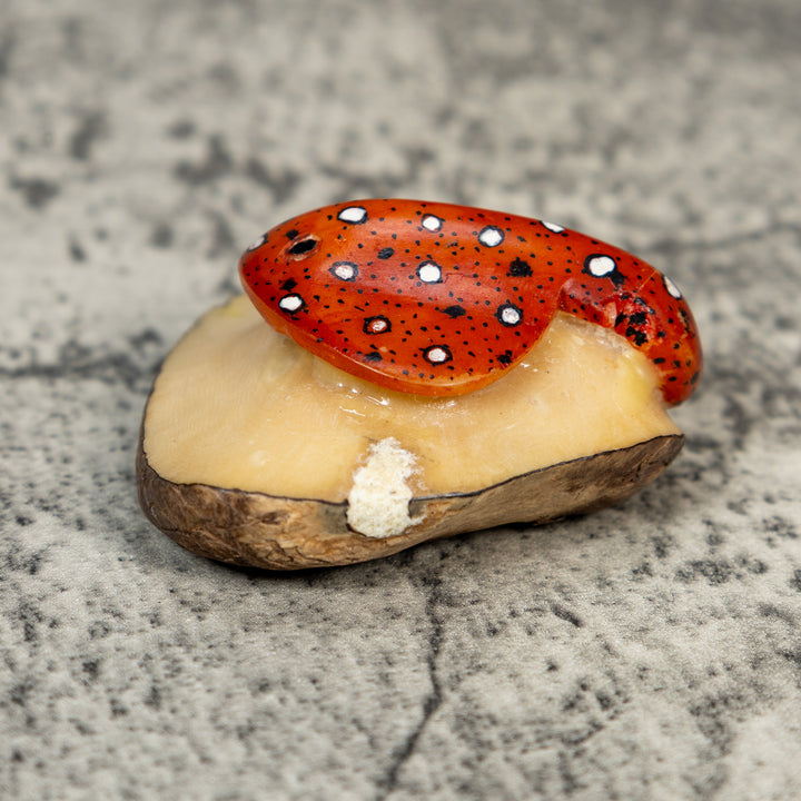 Orange Black And White Stingray Tagua Carving