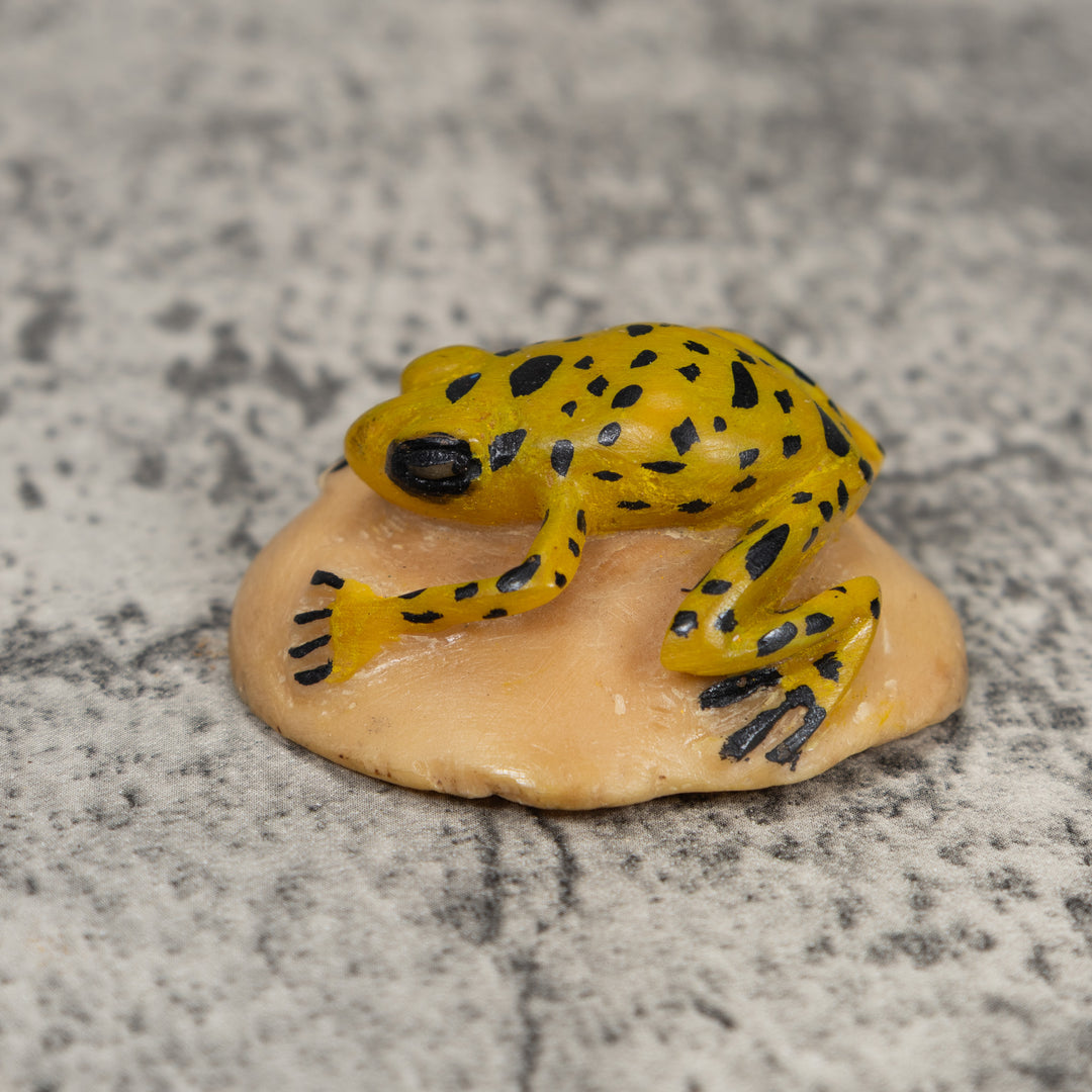 Vintage Golden Frog Tagua Carving