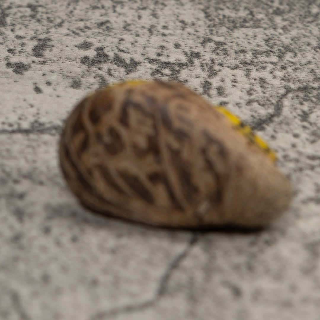 Vintage Yellow And Black Frog Tagua Carving