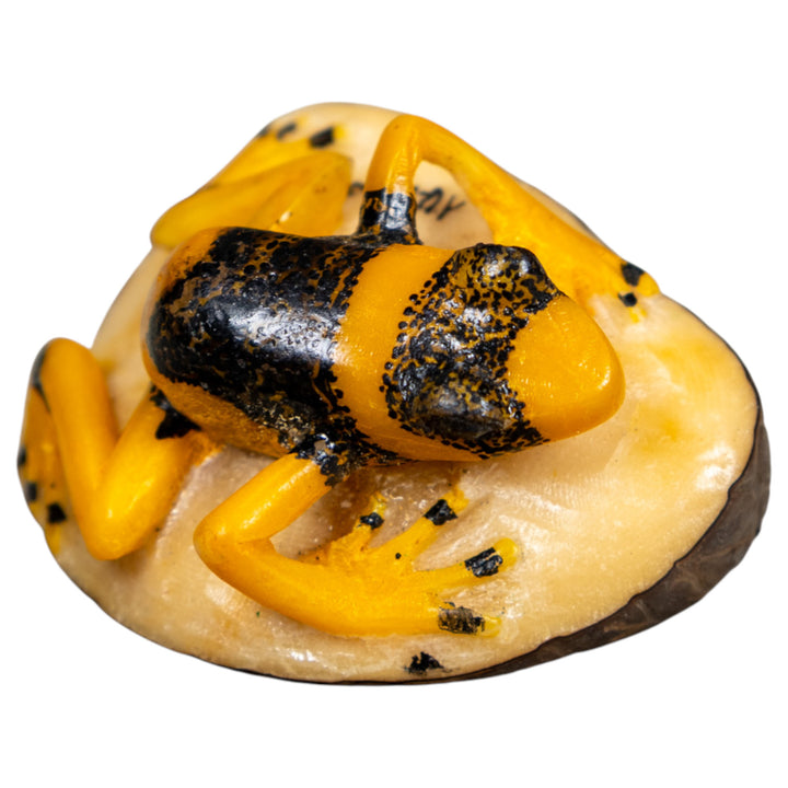 Gold And Black Poison Dart Frog Tagua Carving