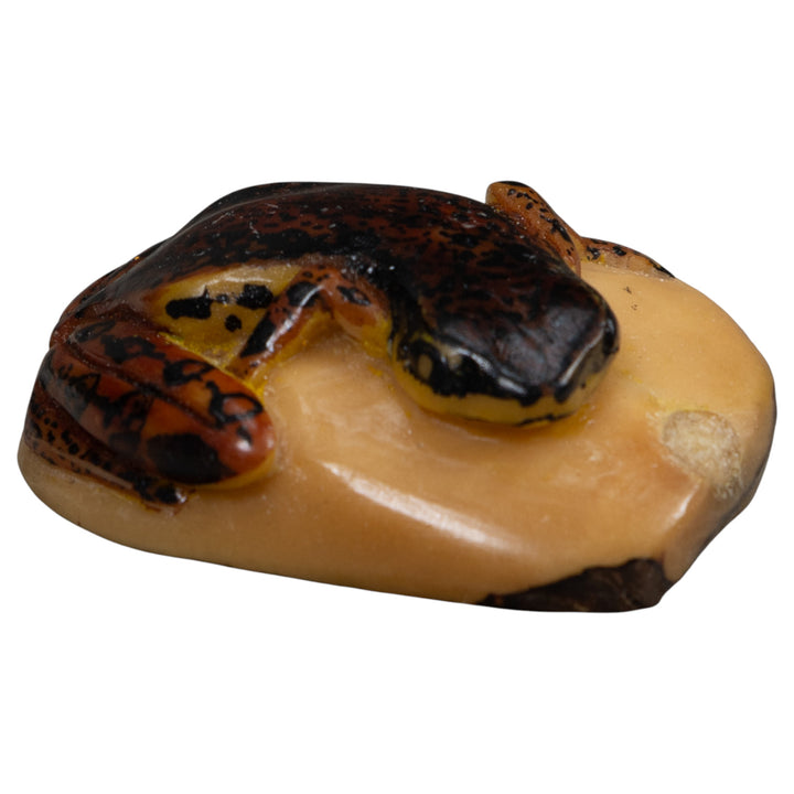 Vintage Brown And Black Frog Tagua Carving