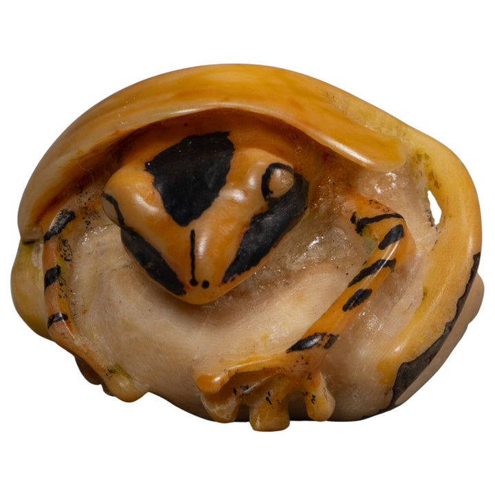 Gold And Black Poison Dart Frog Under Leaf Tagua Carving