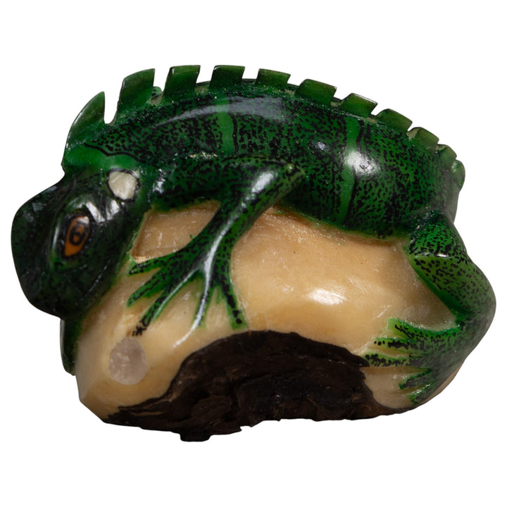 Green Iguana Lizard Iguana Tagua Carving