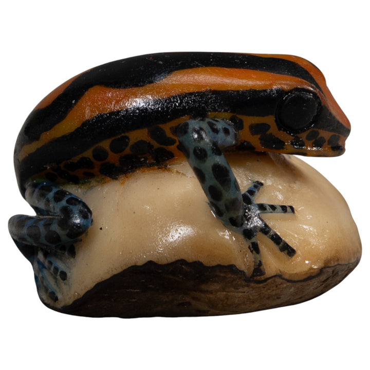 Gold And Black Poison Dart Frog Tagua Carving
