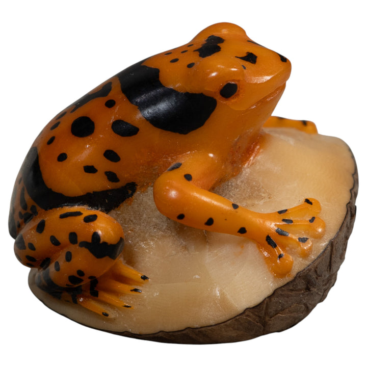 Black And Gold Poison Dart Frog Tagua Carving
