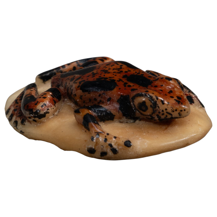 Vintage Brown And Black Poison Dart Frog Tagua Carving