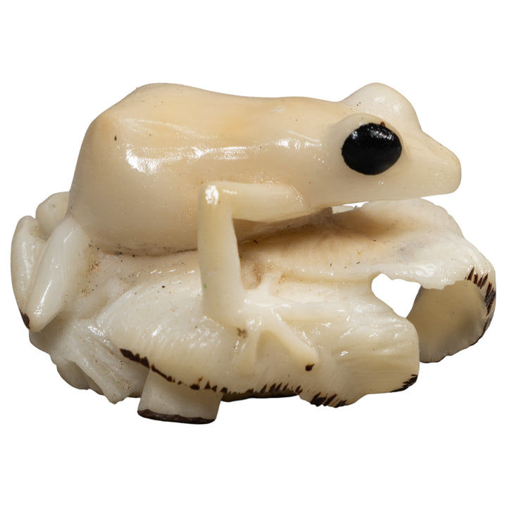 White Natural Frog Tagua Carving