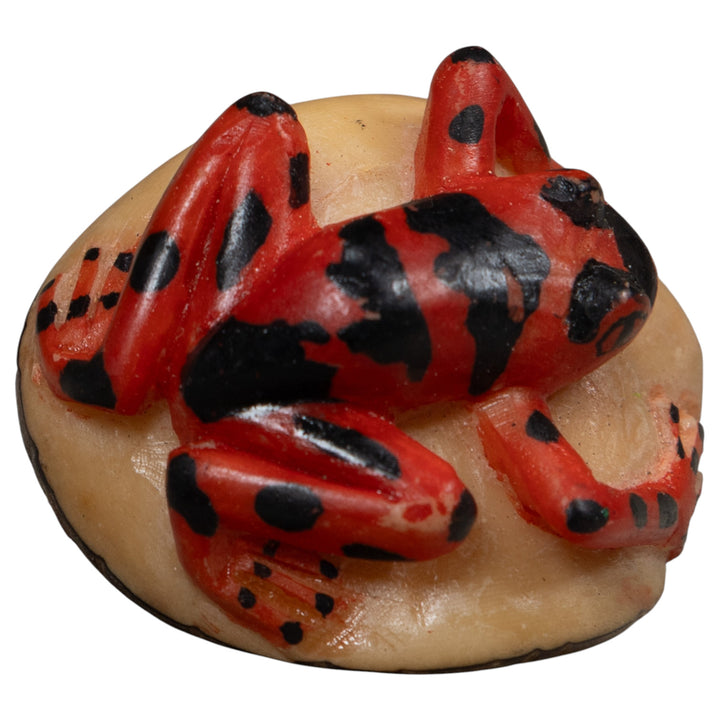 Vintage Black And Red Frog Tagua Carving