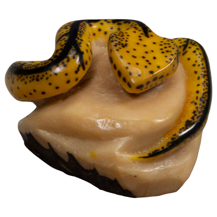 Black And Tan Bush Master Snake Tagua Carving