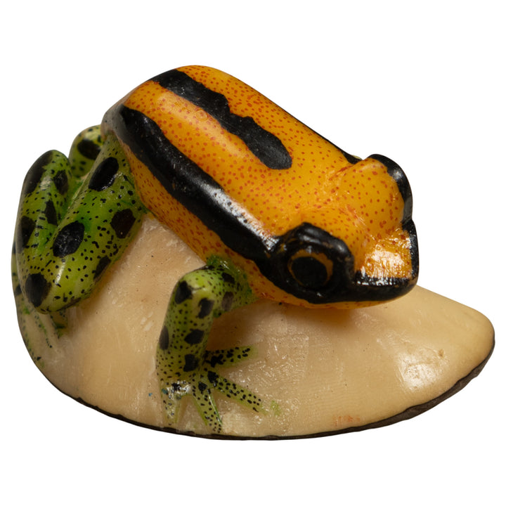 Poison Dart FrogTagua Carving