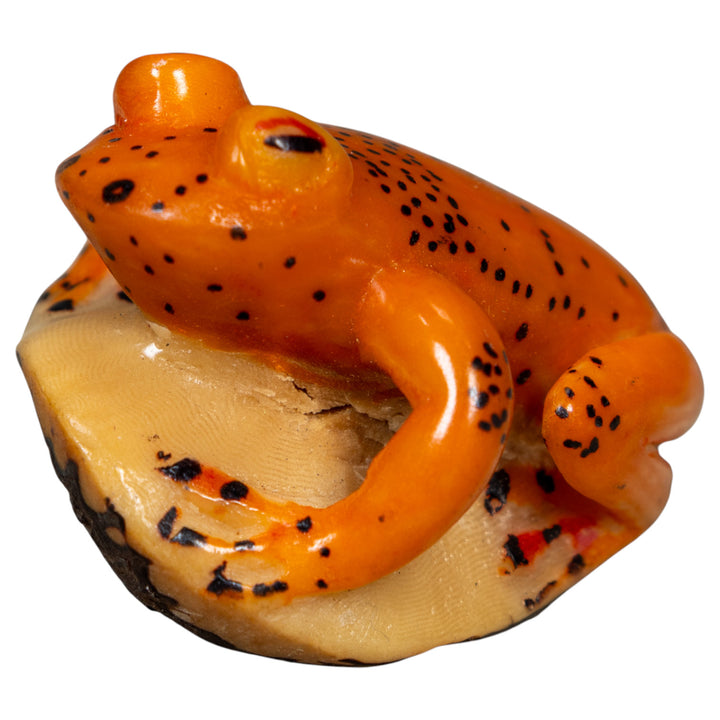 Orange And Black Frog Tagua Carving