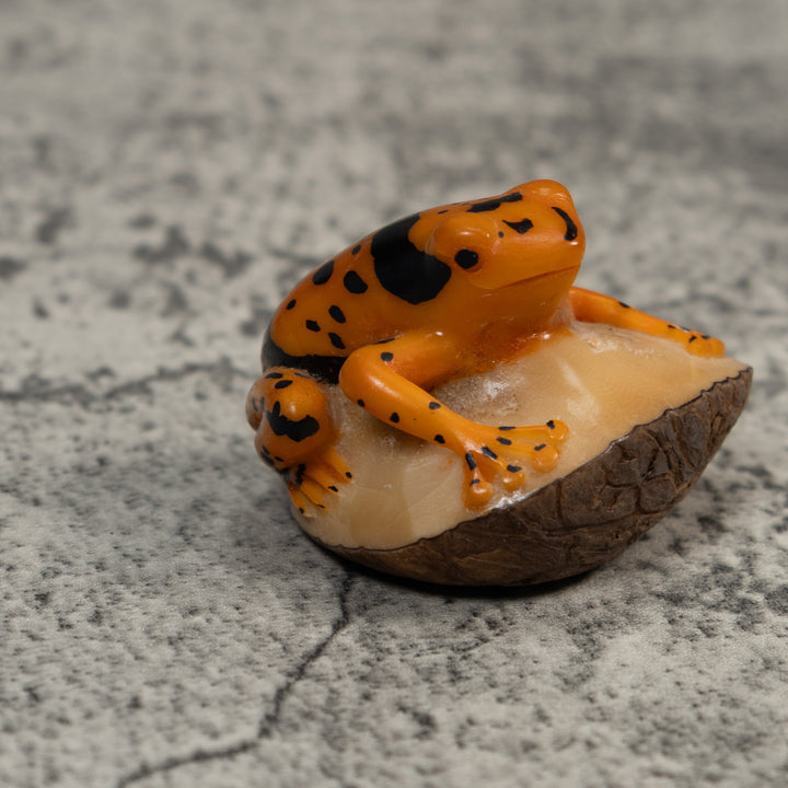 Black And Gold Poison Dart Frog Tagua Carving