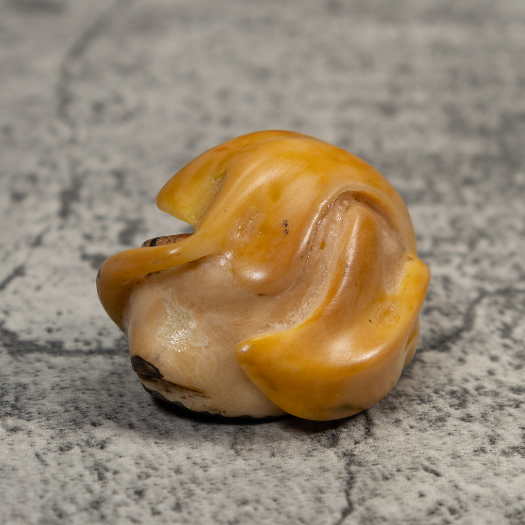 Gold And Black Poison Dart Frog Under Leaf Tagua Carving