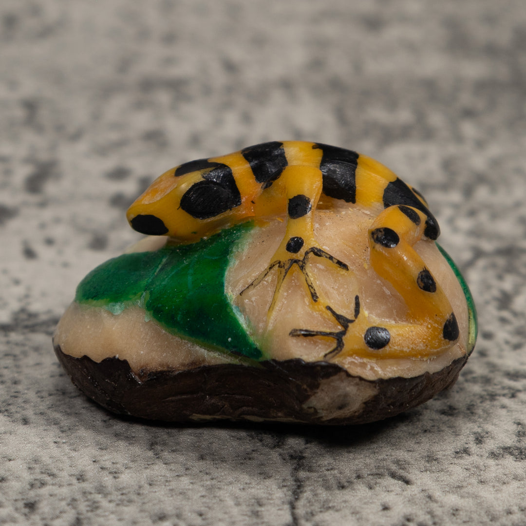 Golden Frog Tagua Carving