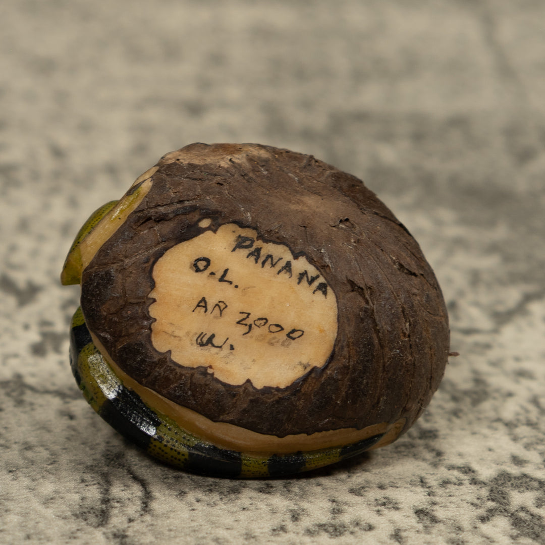 Vintage Iguana Lizard Reptile Tagua Carving