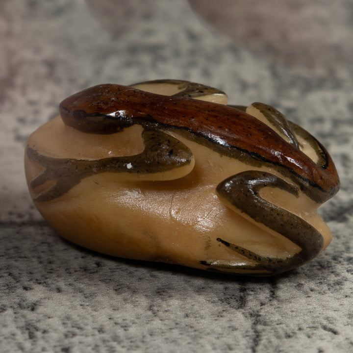Vintage Brown And Black Frog Tagua Carving