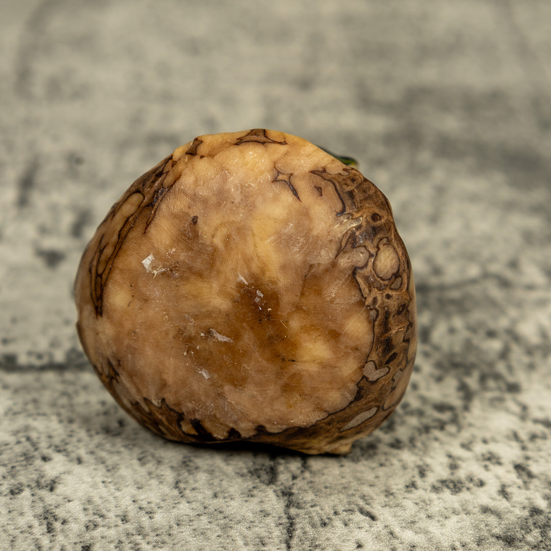 Vintage Black And Yellow Poison Dart Frog Tagua Carving