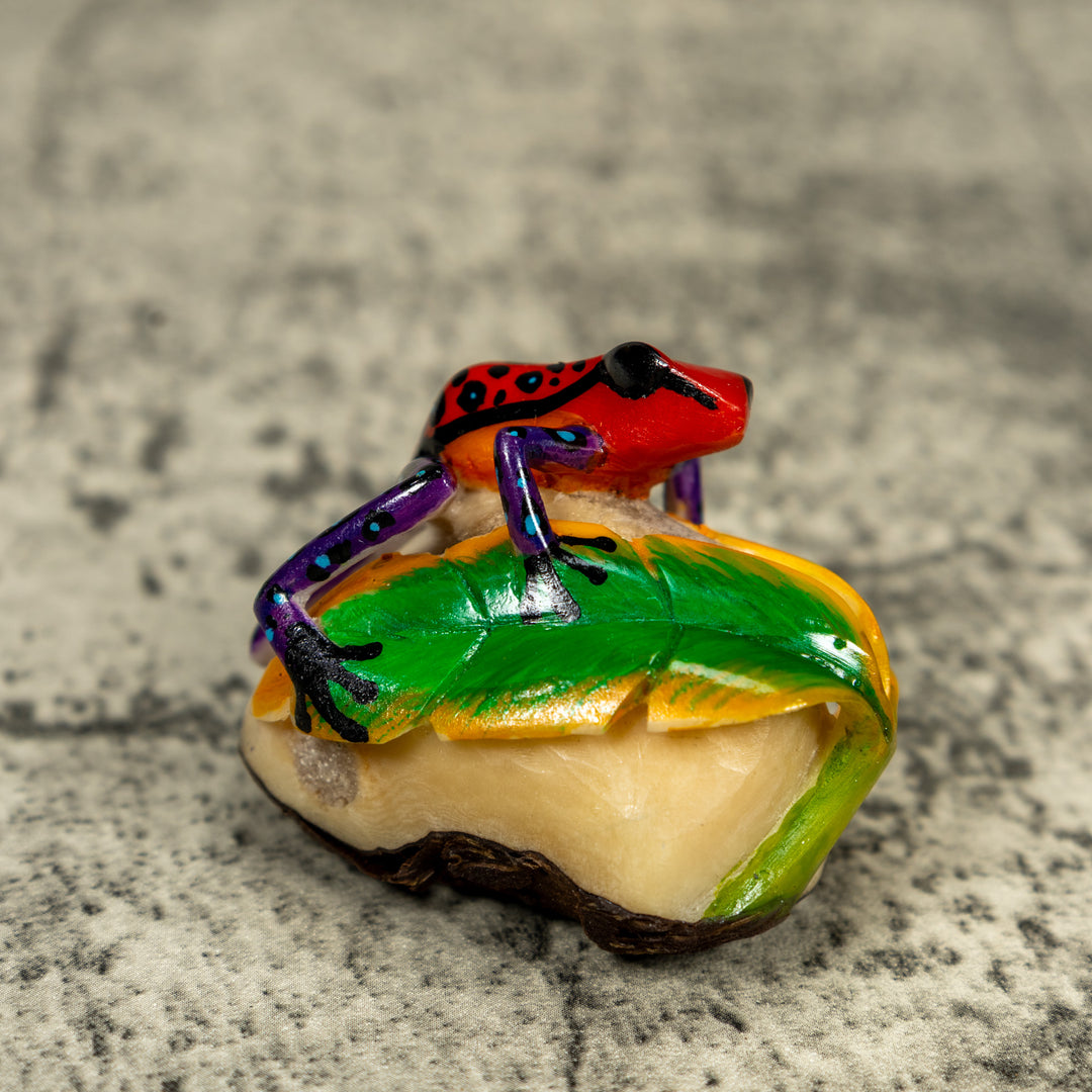 Orange Black And Blue Poison Dart Frog Tagua Carving