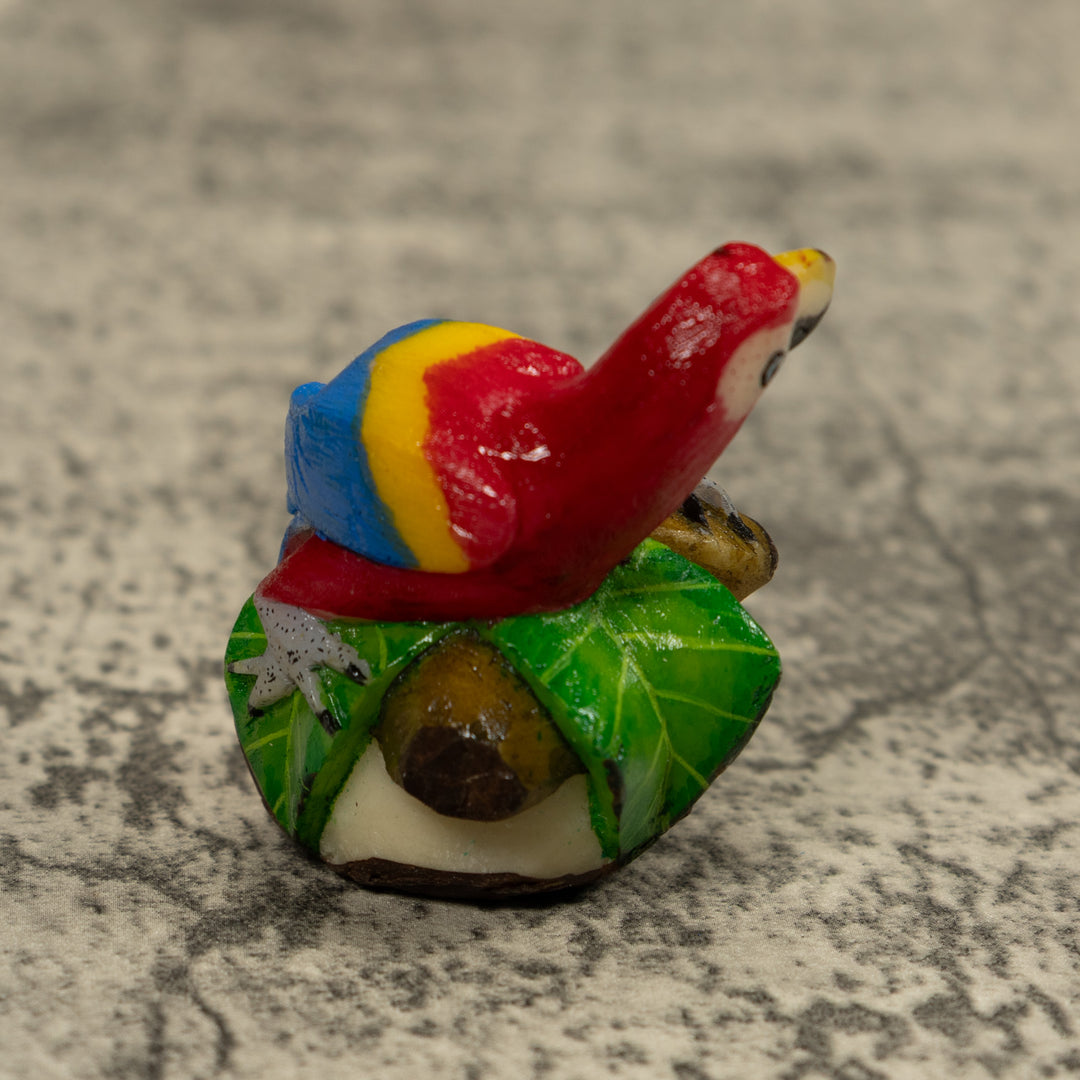 Macaw Parrot Bird Tagua Carving