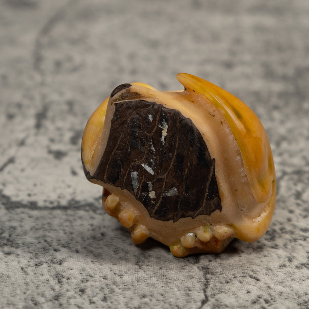 Gold And Black Poison Dart Frog Under Leaf Tagua Carving