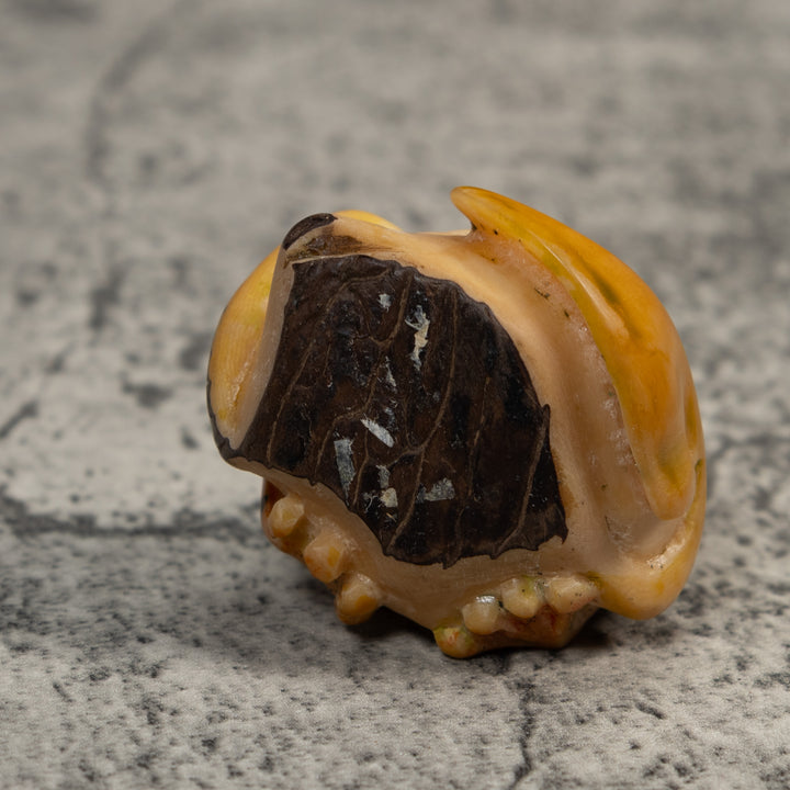 Gold And Black Poison Dart Frog Under Leaf Tagua Carving