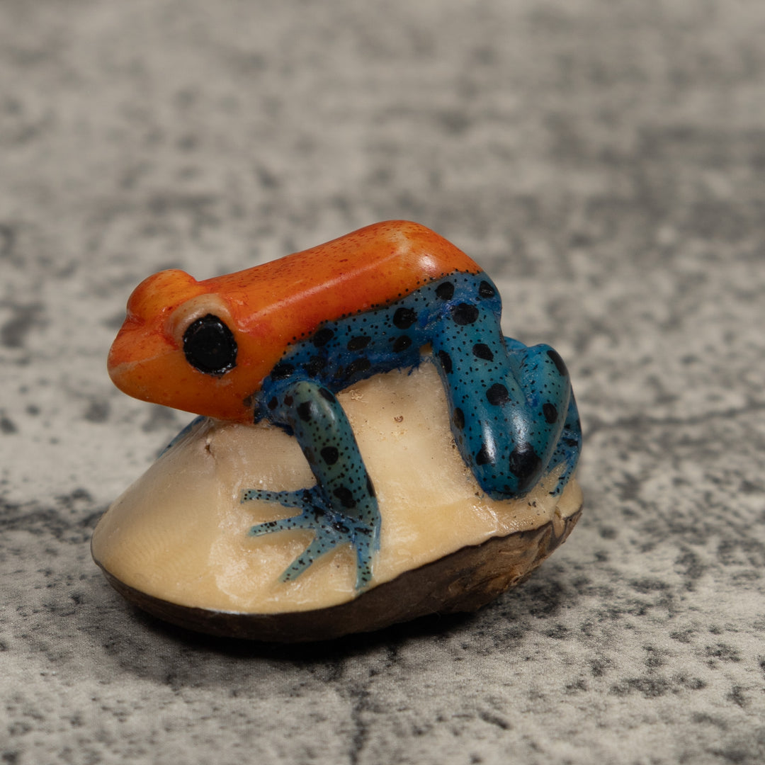 Poison Dart Frog Tagua Carving