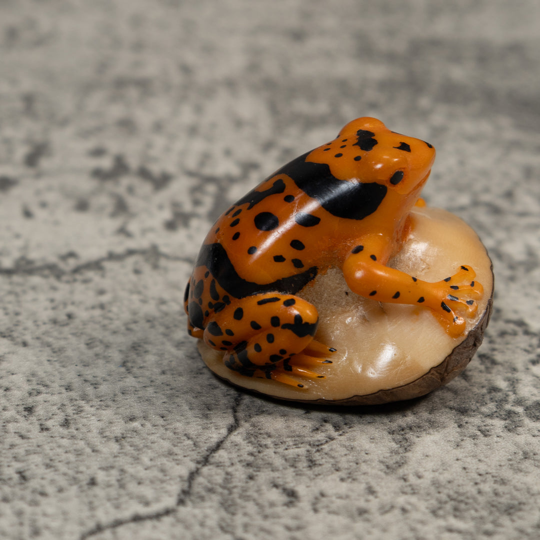 Black And Gold Poison Dart Frog Tagua Carving