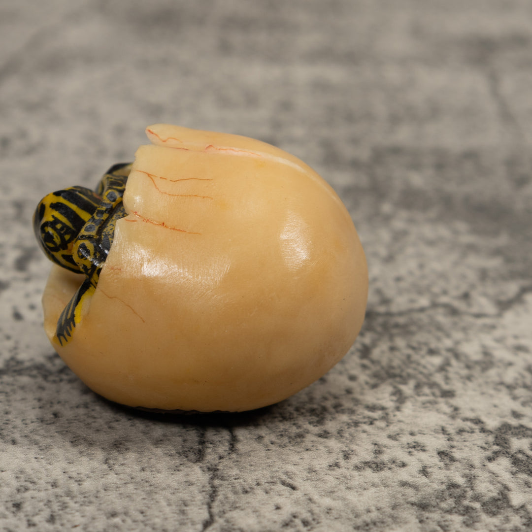 Tortise And Egg Tagua Carving