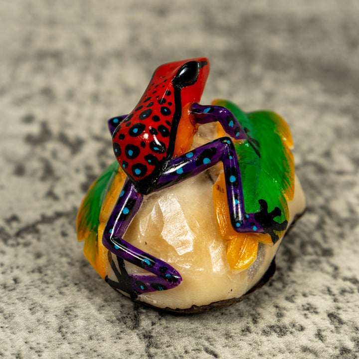 Orange Black And Blue Poison Dart Frog Tagua Carving