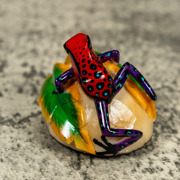 Orange Black And Blue Poison Dart Frog Tagua Carving