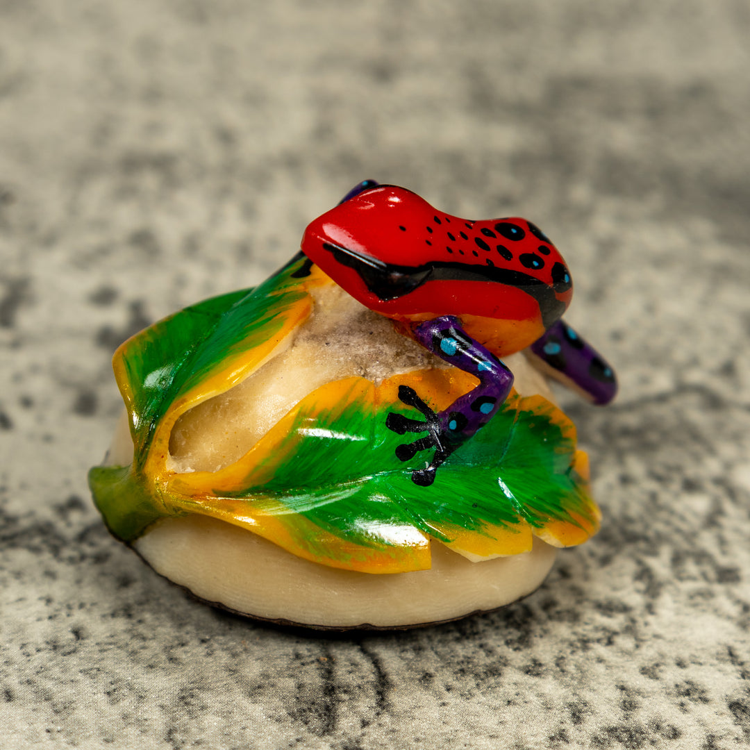 Orange Black And Blue Poison Dart Frog Tagua Carving