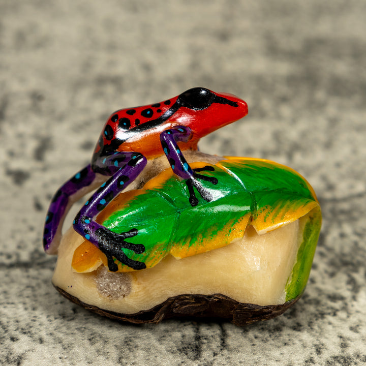 Orange Black And Blue Poison Dart Frog Tagua Carving