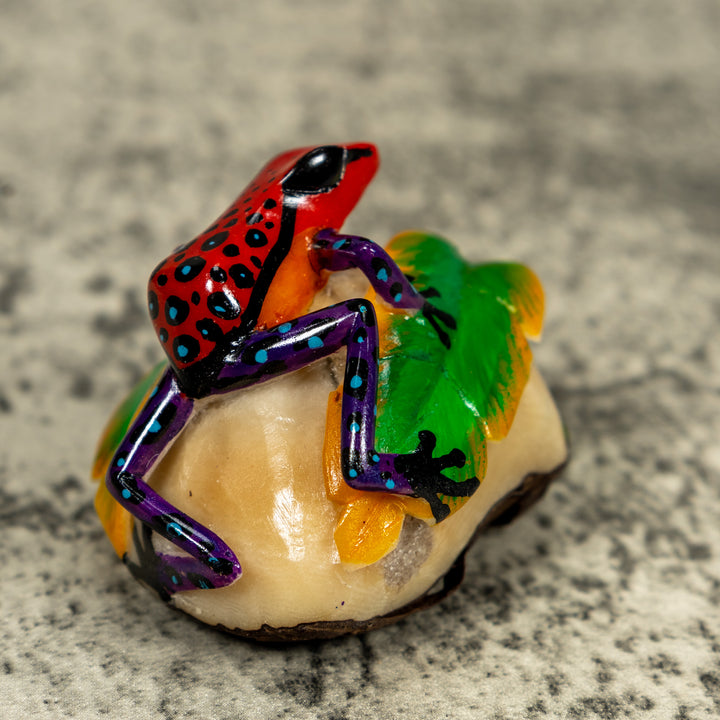 Orange Black And Blue Poison Dart Frog Tagua Carving
