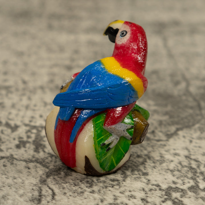 Macaw Parrot Bird Tagua Carving