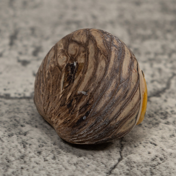 Vintage Black And Gold Frog Tagua Carving