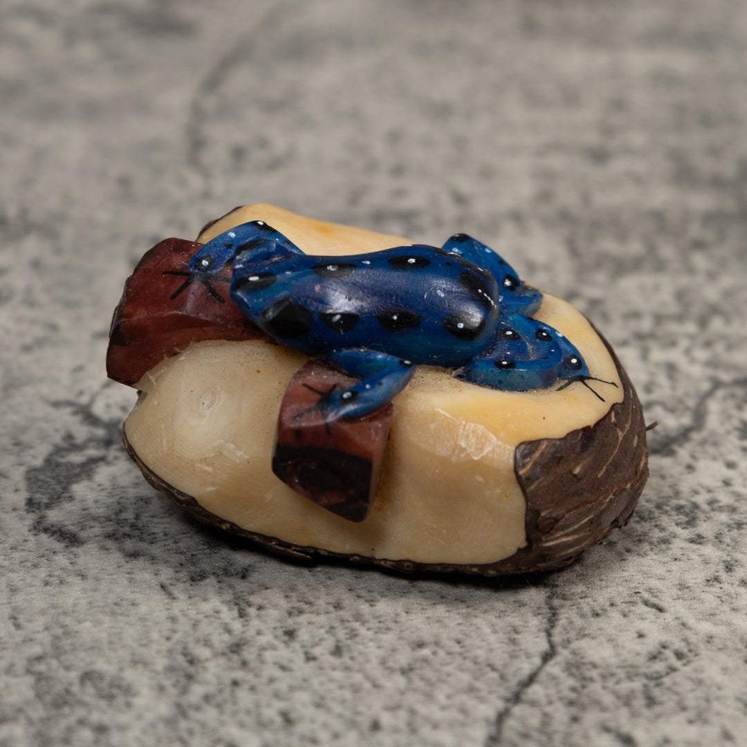 Blue White And Brown Poison Dart Frog Tagua Carving
