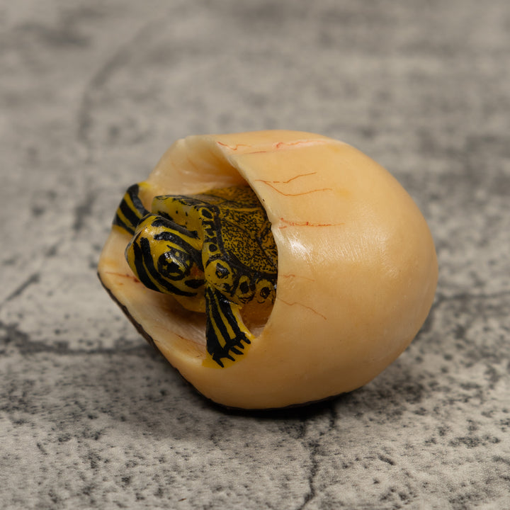 Tortise And Egg Tagua Carving